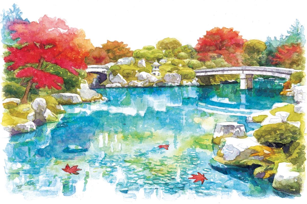 京都の庭園で注目すべきは…。庭園デザイナーが教える池泉式と枯山水の見方。