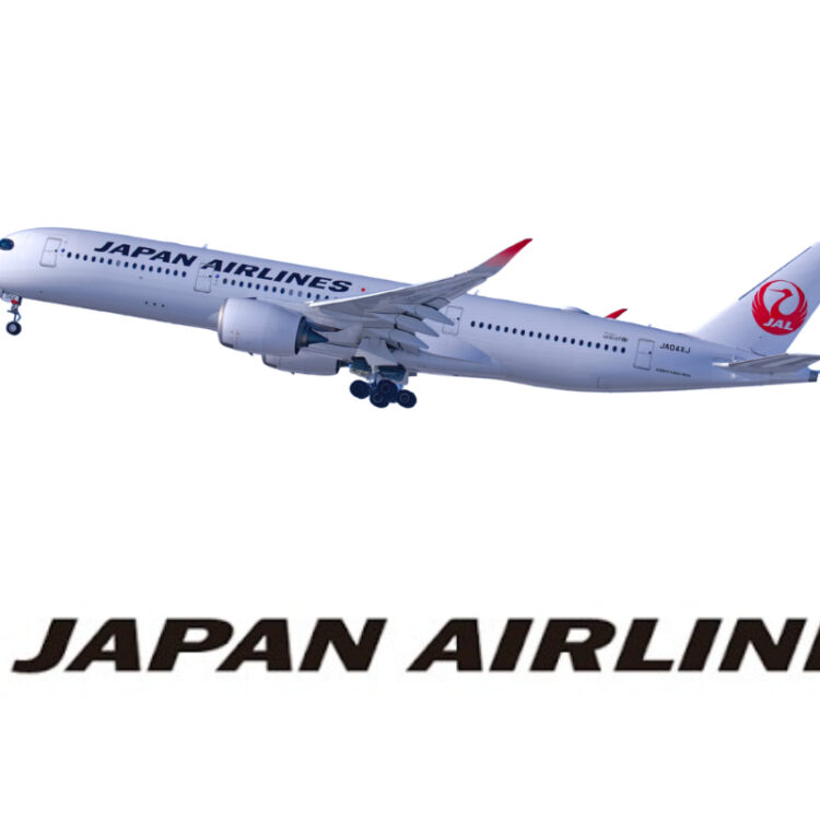jalの飛行機