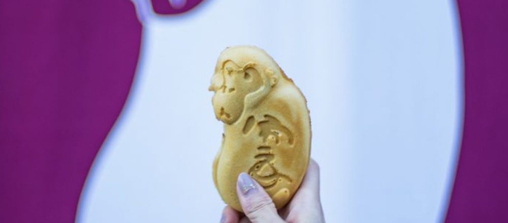 インスタフォトグラファーが国内外の旅の景色をお届け!【#HanakoTravel】栃木県・日光へ。