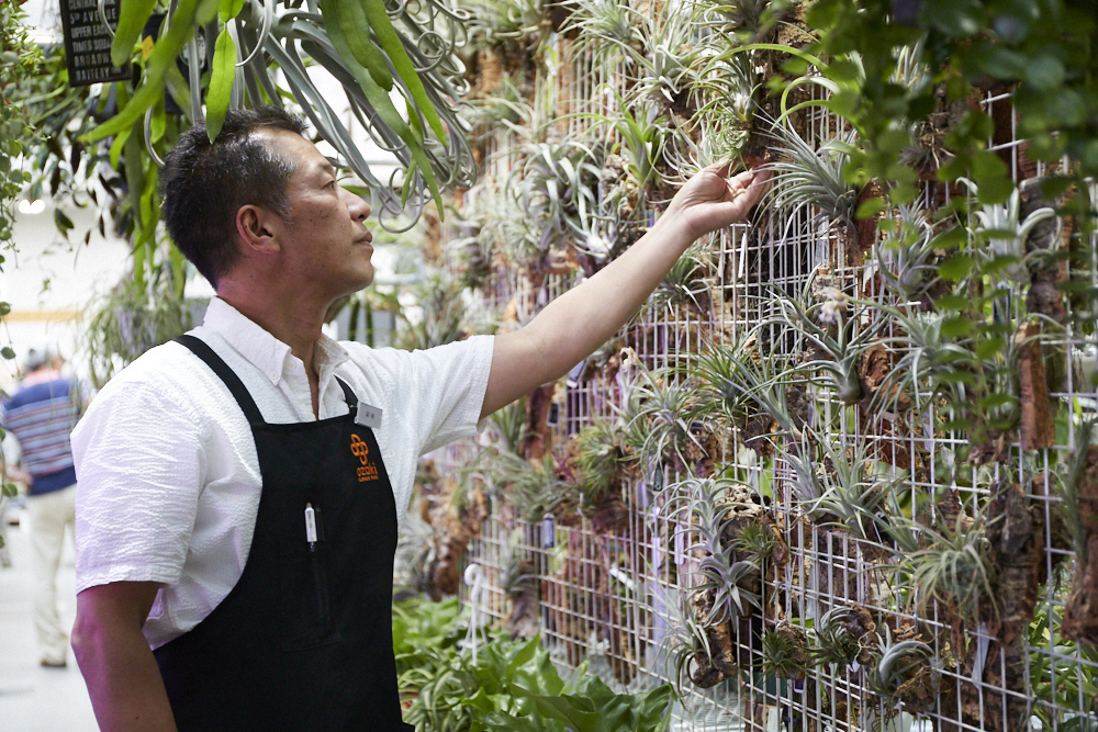 2Ｆの「Indoor Garden」内にある観葉植物コーナー。「植物の管理方法は近くのスタッフに気軽に聞いてください」（尾崎さん）。