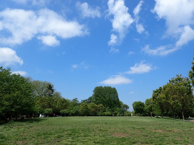 芝生広場2