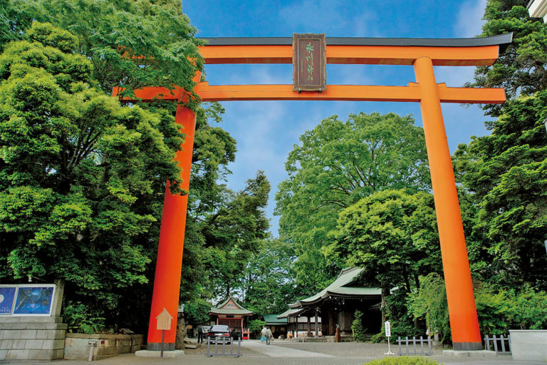 DMA-大鳥居