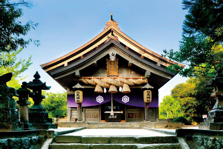 DMA-白兎神社境内 画像