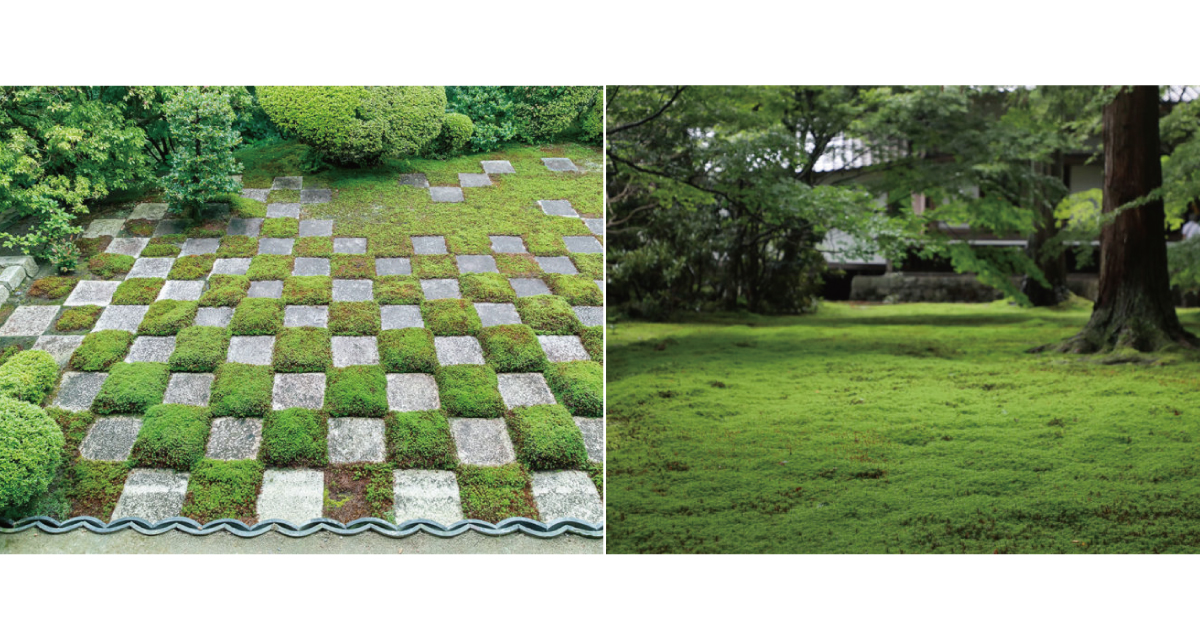 京都 日本獨有的林園美學 洗滌心靈的京都苔庭 悄悄掀起風潮 Hanako Taiwan Culture Hanako Taiwan